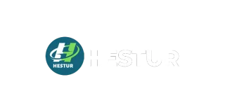 HESTUR ENERGY PRIVATE LIMITED
