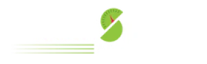 Intellismart