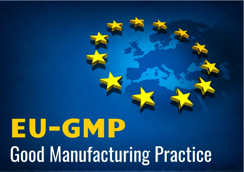 GMP