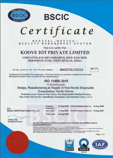 ISO 13485
