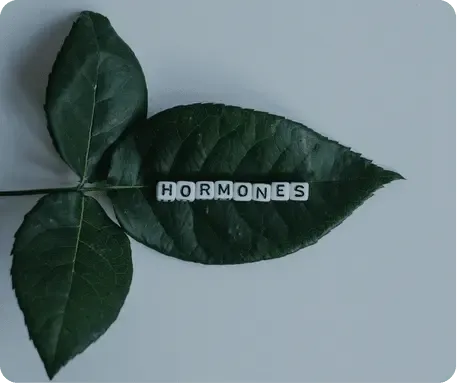 3DI Hormone Booster