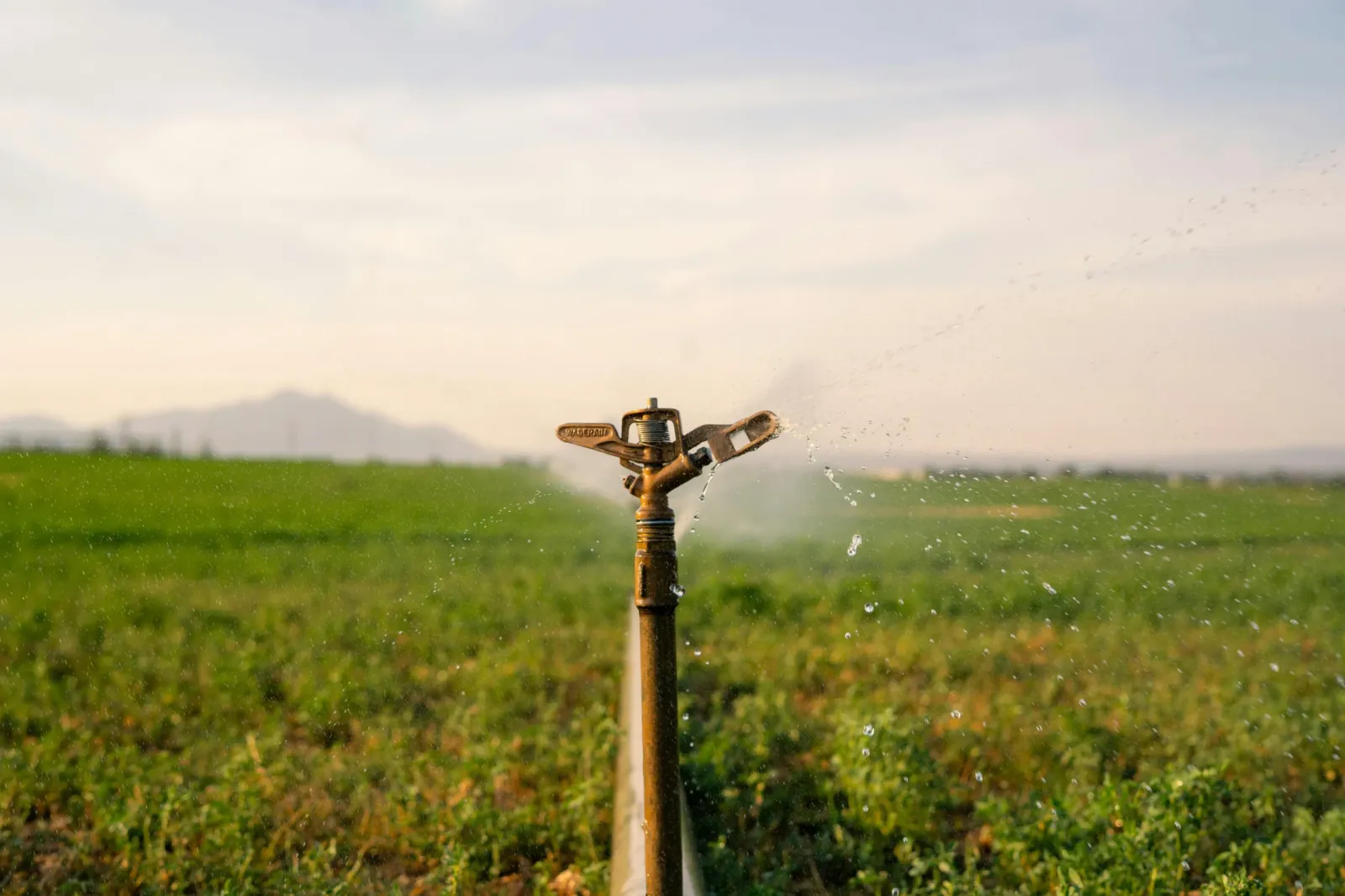 Micro/Drip & Mini Sprinkler Irrigation System