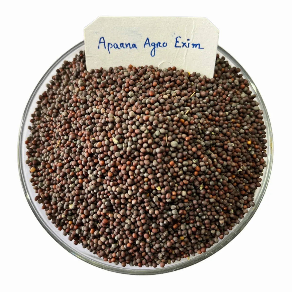 Mustard Seeds