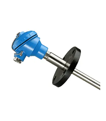 RTD With Flanged Connection - R5