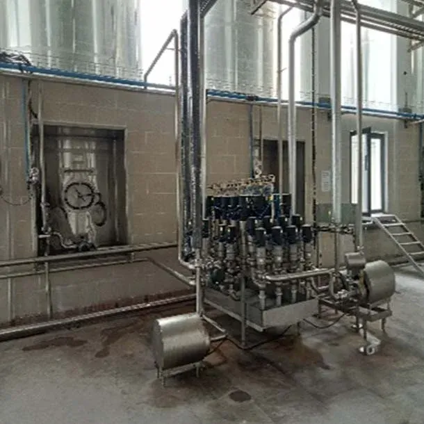 Curd / Butter Milk Processing Plant view 3