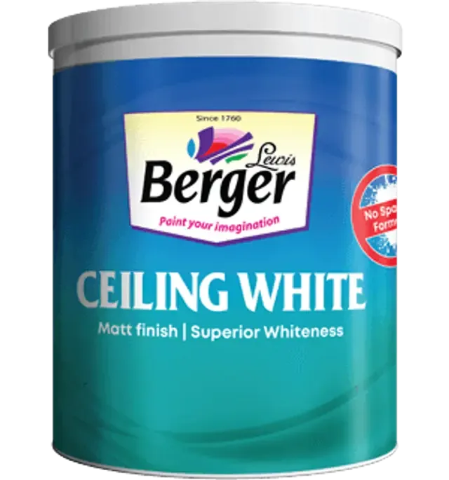 Ceiling White