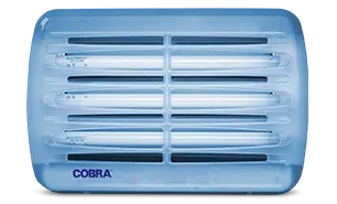 Genus Cobra