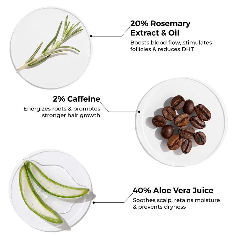 Rosemary Shampoo for Visible Hair Growth view 3
