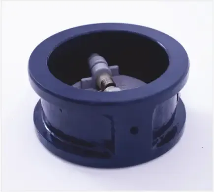 Dual Plate Non-Return Valves