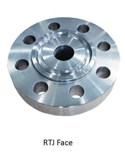 Ring type Joint (RTJ)