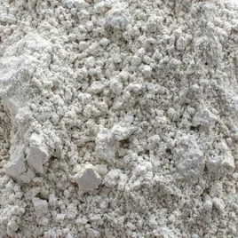 Diatomaceous Earth Powder