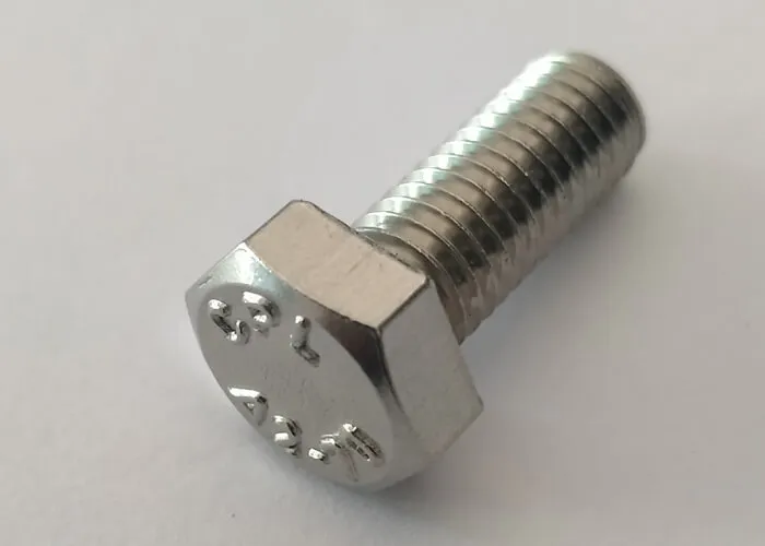 Stainless Steel Hex Head Bolt