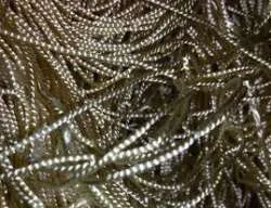 Rayon Tired Cord Waste