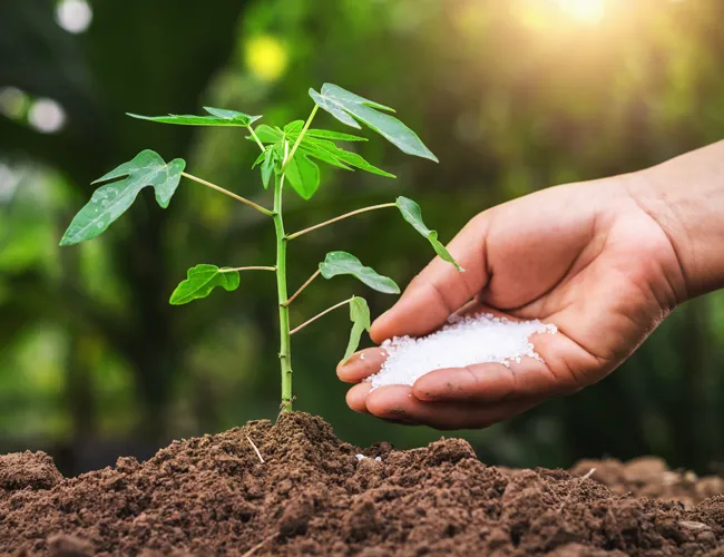 Fertilizer