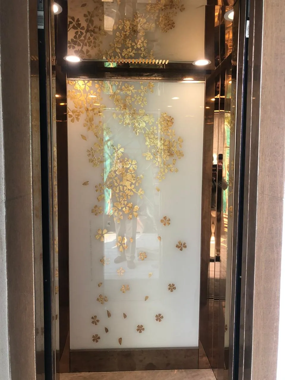SS DESIGN GLASS CABIN