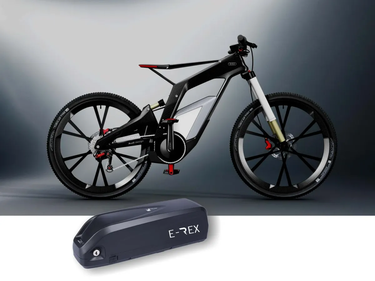 E-Rex 36V 15Ah Lithium ion Battery with Hailong Down Tube case
