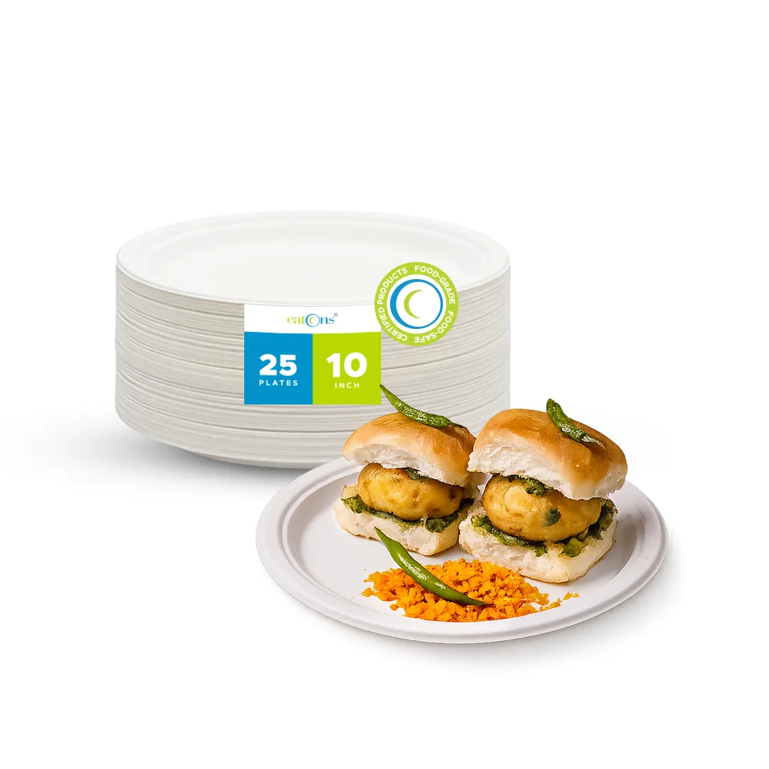 Disposable Plates (10 inch)