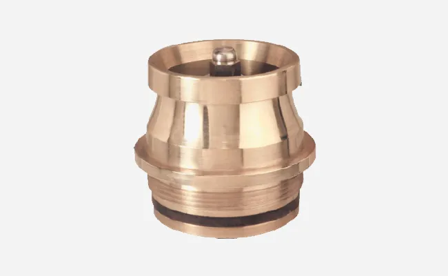 Non Return Valve