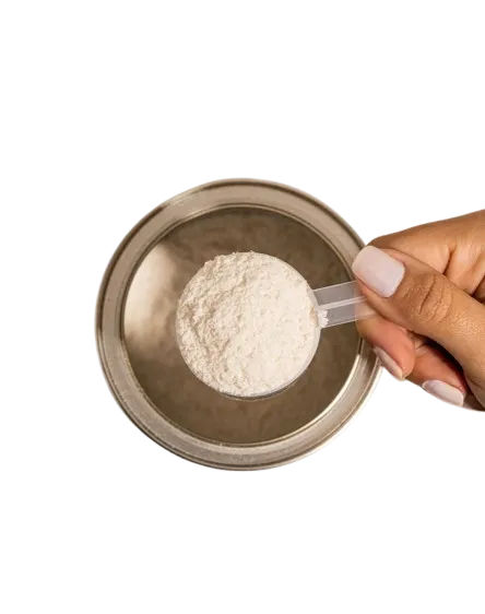 Dairy creamer