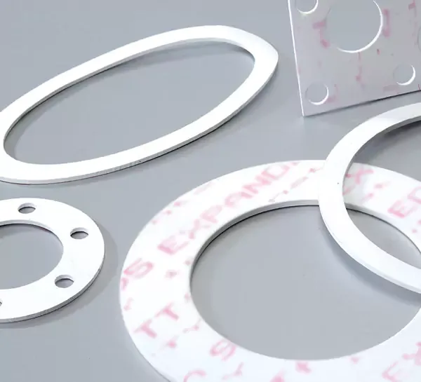 PTFE Gasket