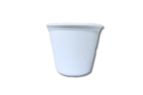 250 ML Bagasse Glass Classi Bio
