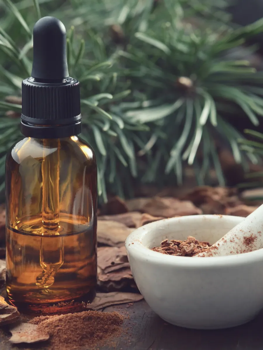 Pineapple Culinary Essence Sample