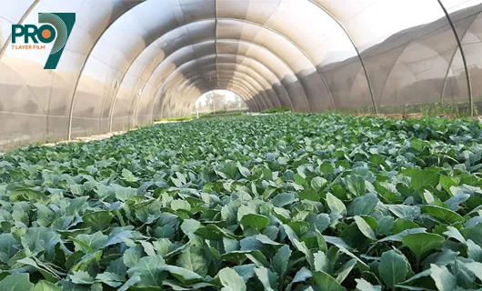 Agricultural Films