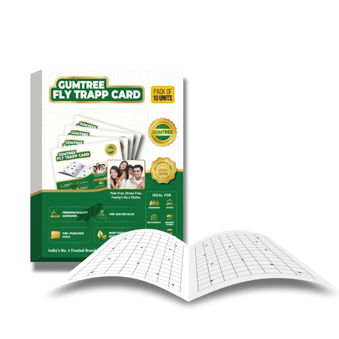 Gumtree Fly Trapp Card (Pack of 10)