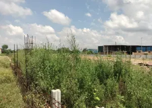 Factory for Sale in Chopanki, Bhiwadi | 15000 Sq. Meter