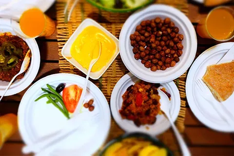 Molded fiber plates and bowls