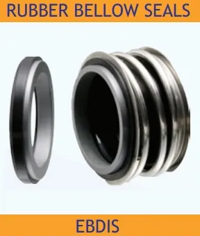 Bellow Seals view 2