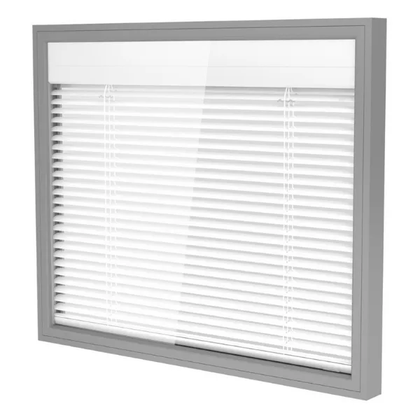 Integrated Blinds DGU Glass