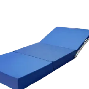 Motor Recliner Hospital Bed with blue mattress