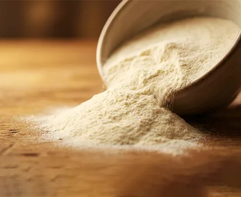 Demineralized Whey Powders