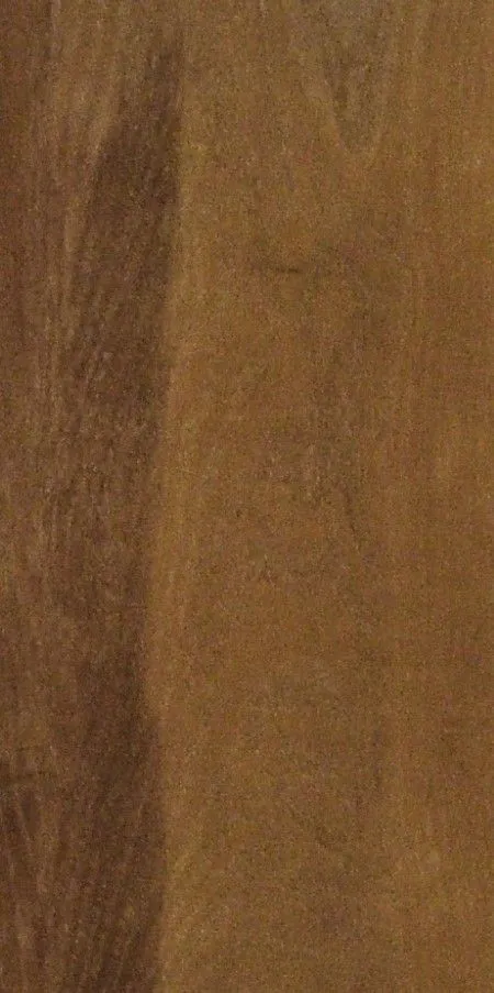 FLUSH DOORS view 8
