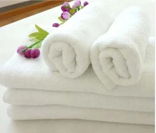 Premium Plain Hotel Hand Towels view 2