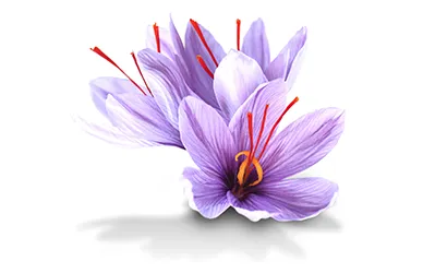 Saffron