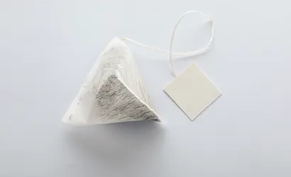 Biodegradable Pyramid