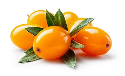 Seabuckthorn