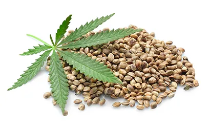 Hemp