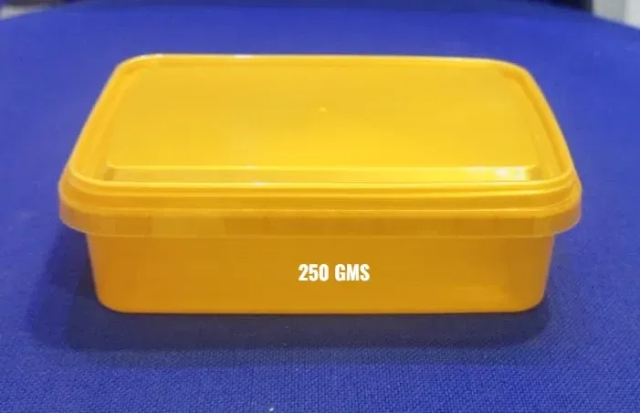 250 Gms Plastics Box Container