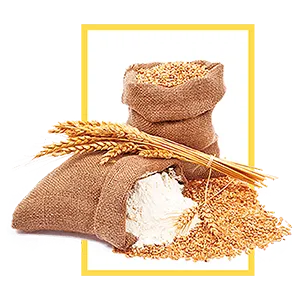Barley Malt Flour