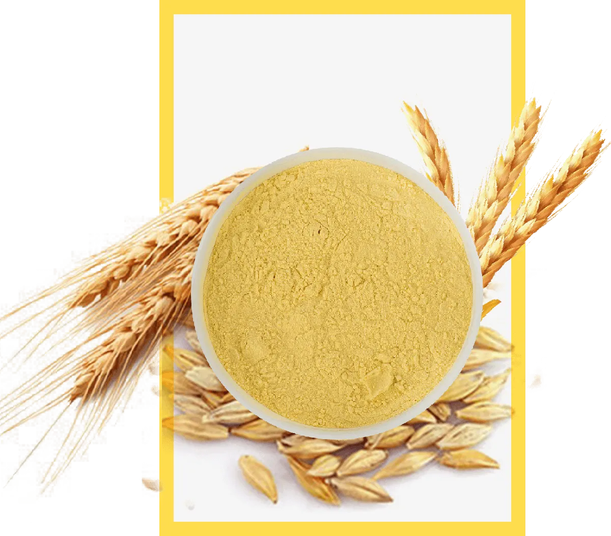 Malt Extract Powder