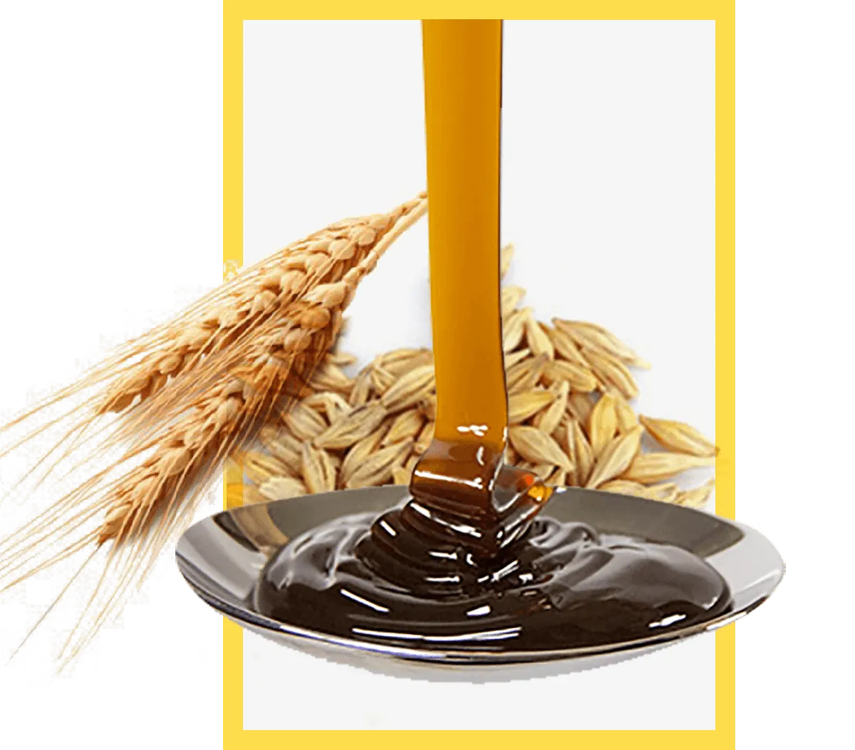 Malt Extract Liquid