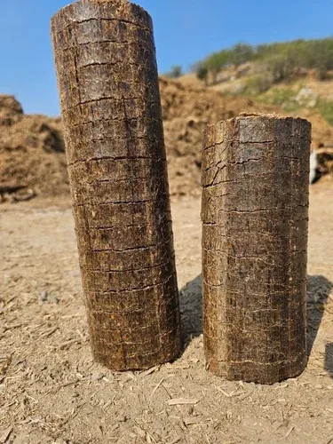Biomass Briquette view 2