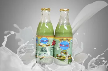 Flavoured Milk-Pista