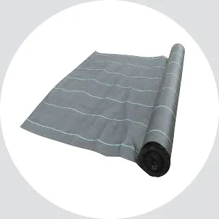 Tarpaulin