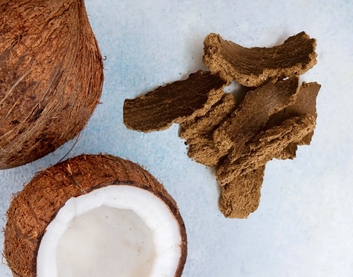 Coconut Meal cake