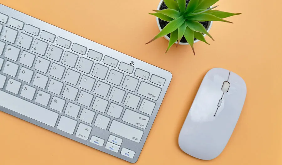 Keyboards/Mouse