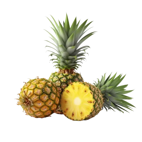 Organic Pineapple Juice NFC